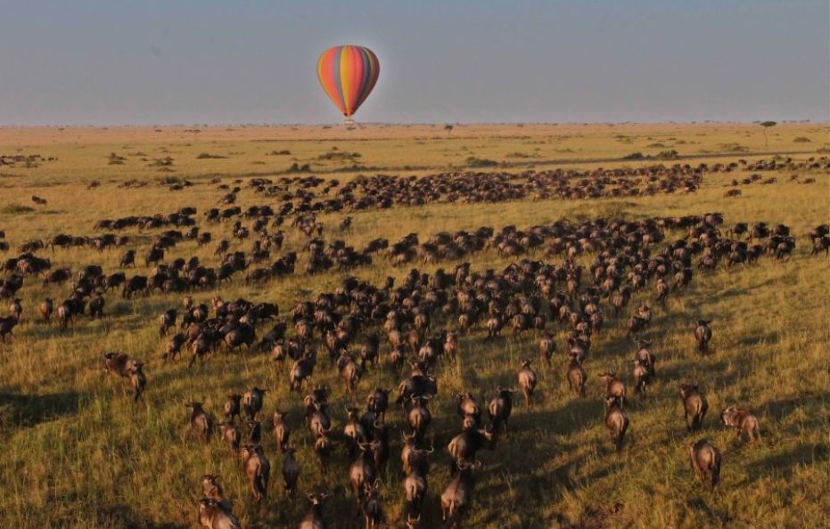 Saruni Wild – Lemek Conservancy