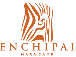 Enchipai Mara Camp