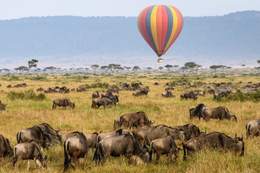 3-Day Maasai Mara Safari (Big Five Adventure)