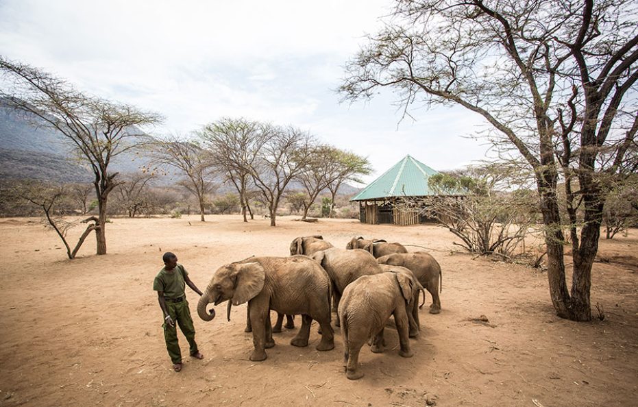 Saruni Samburu – Kalama Conservancy