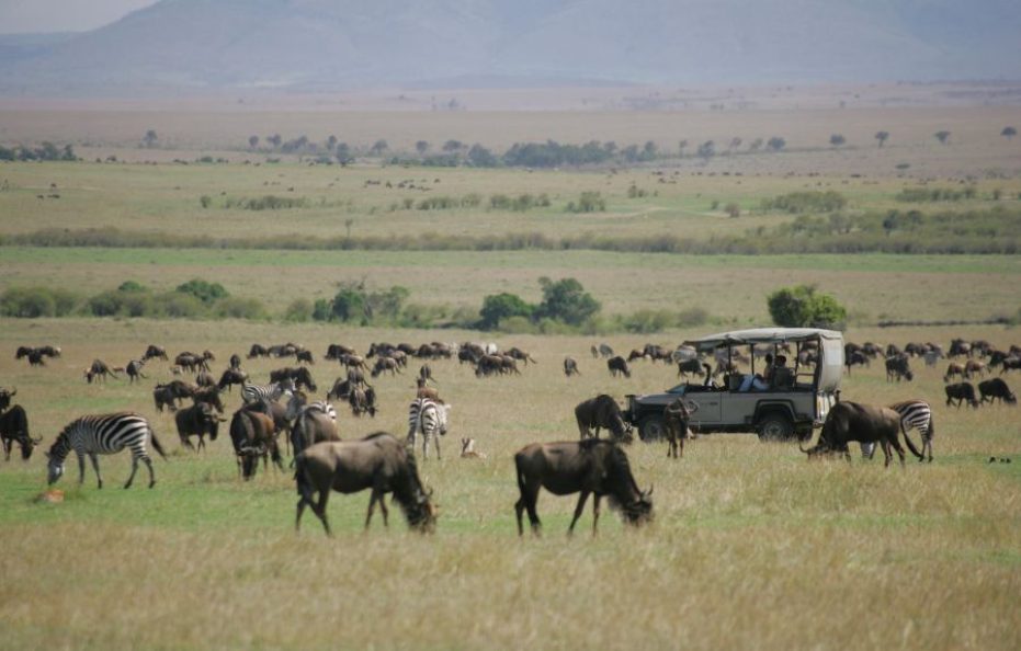 Saruni Wild – Lemek Conservancy