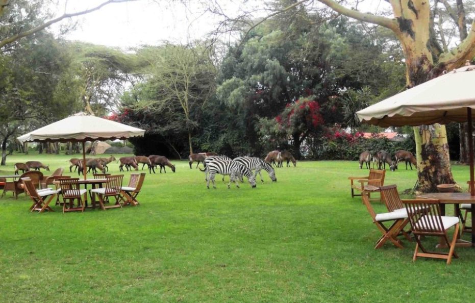 Muthu Lake Naivasha Country Club Hotel, Naivasha, Kenya