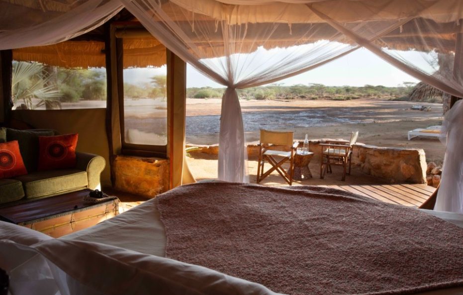 Saruni Rhino – Sera Conservancy, Samburu