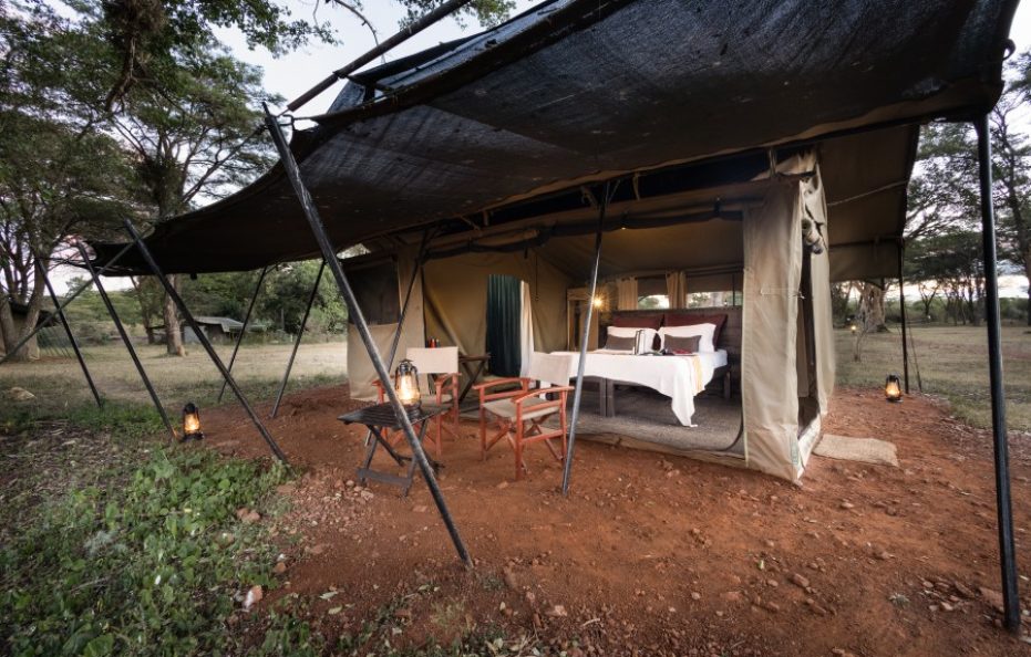 Basecamp Adventure – Talek River, Masai Mara National Reserve