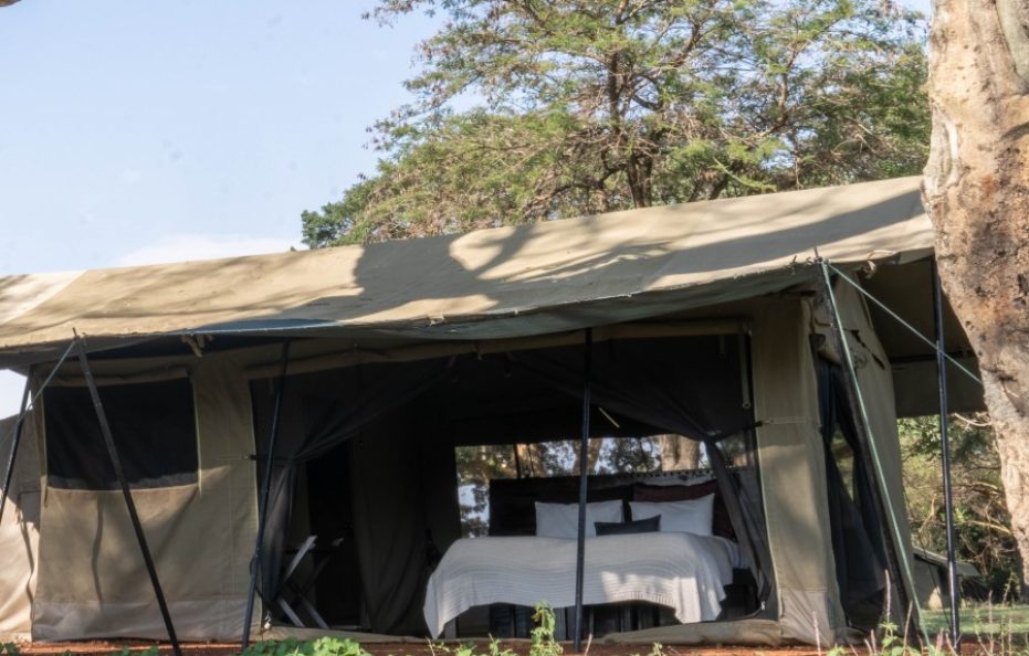 Basecamp Adventure – Talek River, Masai Mara National Reserve