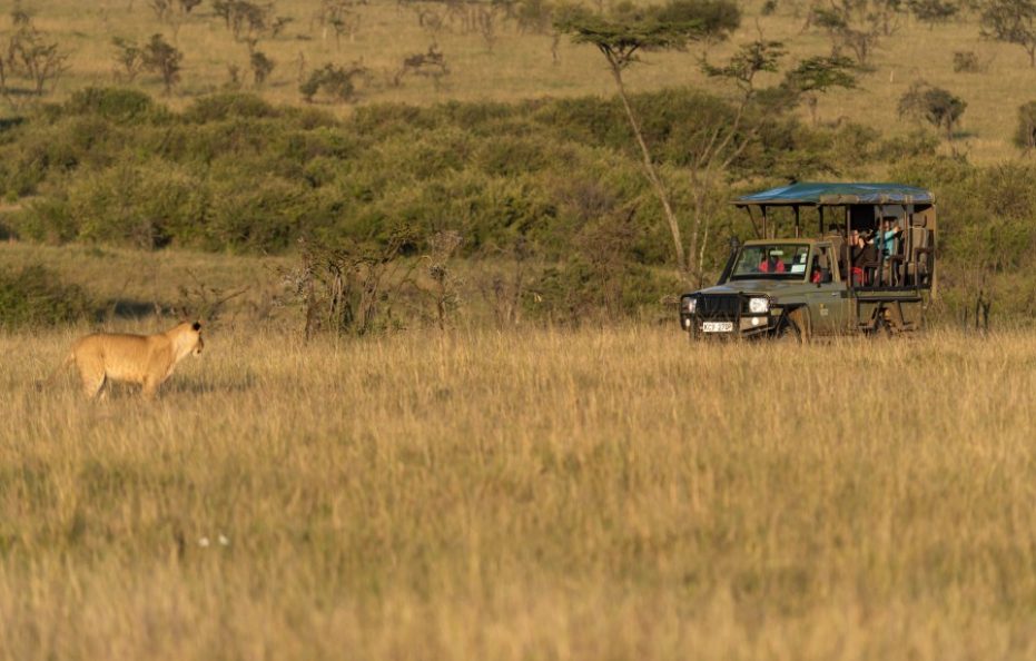 Basecamp Adventure – Talek River, Masai Mara National Reserve