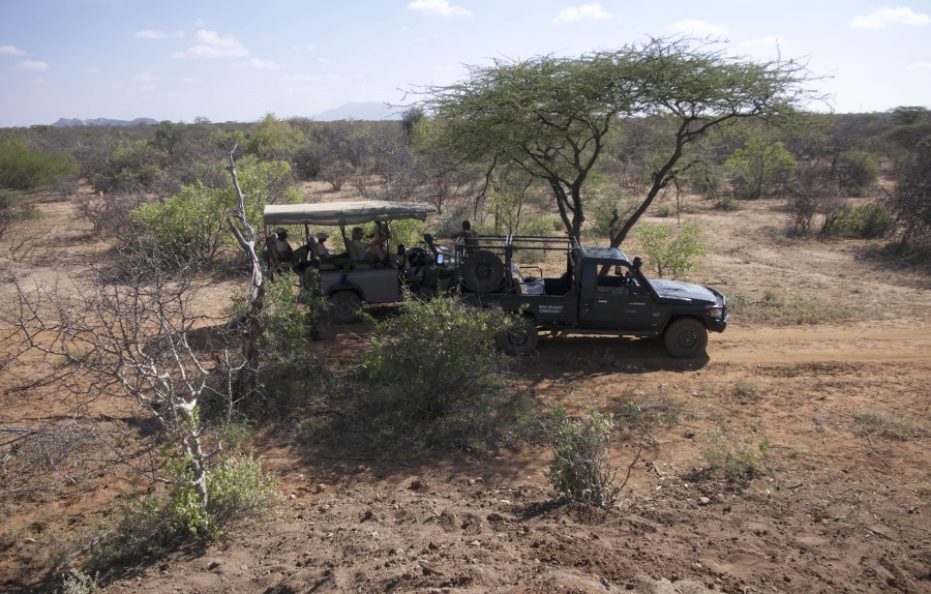 Saruni Rhino – Sera Conservancy, Samburu
