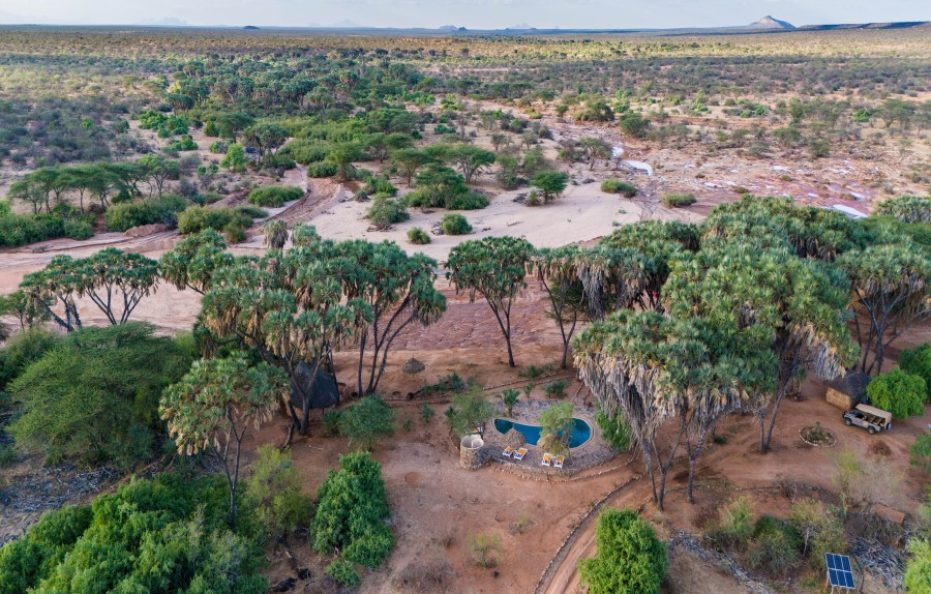 Saruni Rhino – Sera Conservancy, Samburu