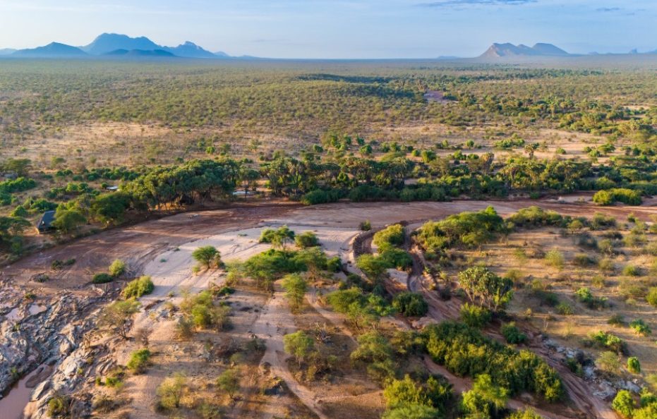 Saruni Rhino – Sera Conservancy, Samburu