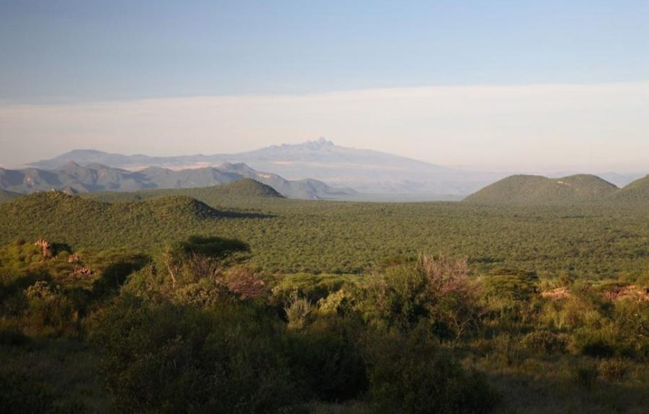 Basecamp Samburu – Kalama Conservancy, Samburu